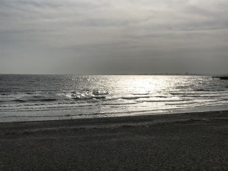 検見川の浜