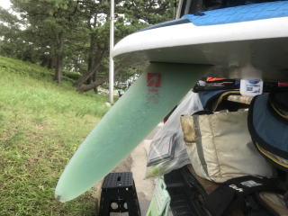 MAUI ULTRA FIN WEED34㎝