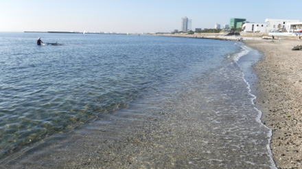 千葉市検見川の浜