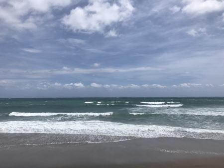 バーレーヘッヅNATURALWAVE
