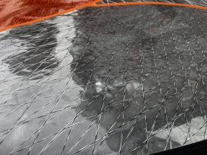 中古セイル20202021ezzycheetah65